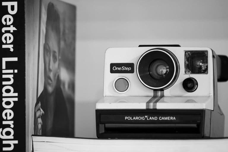 Pexels 29978753